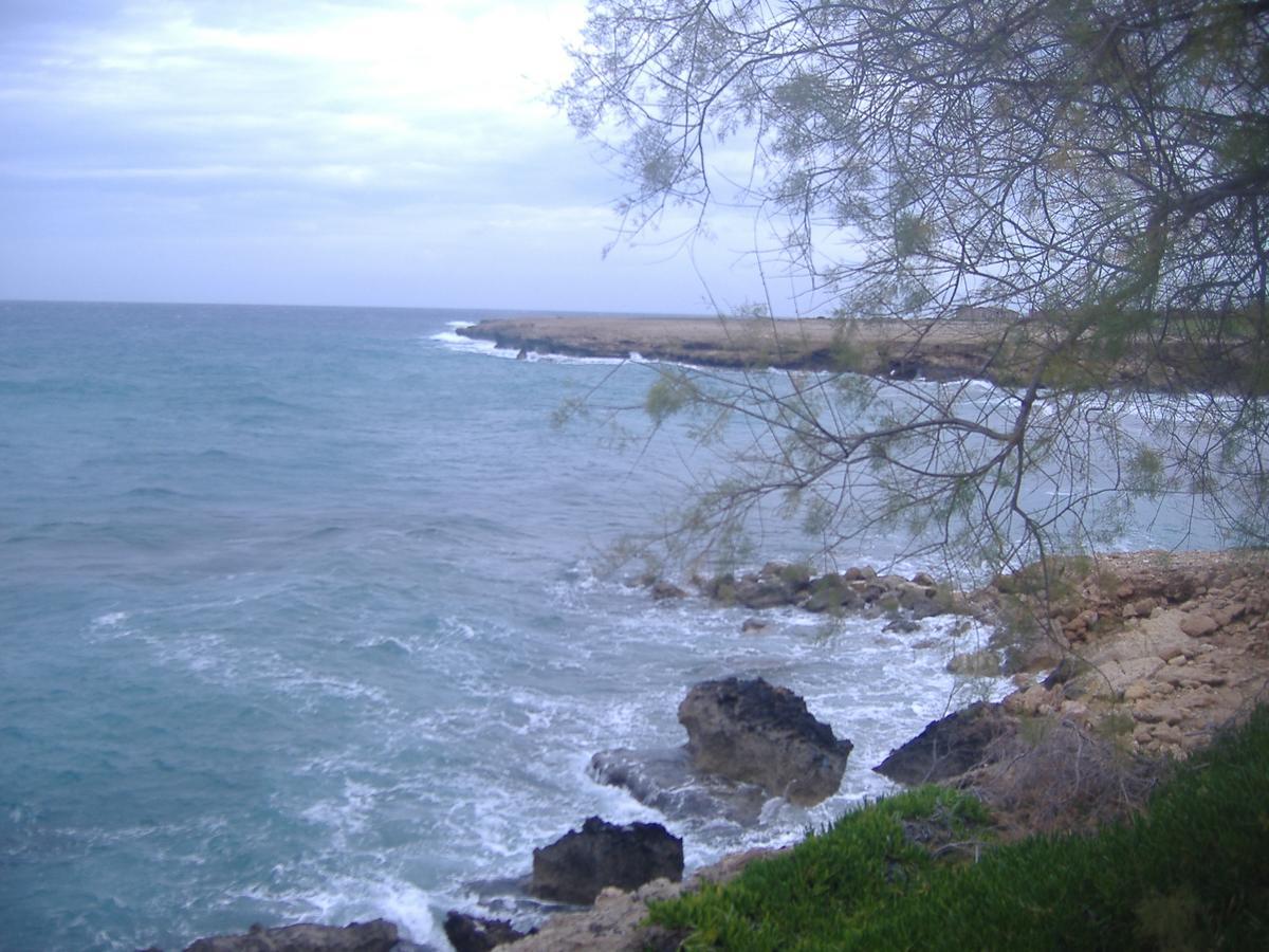 Theresa Hotel At Karpaz Peninsula Agia Trias Екстер'єр фото